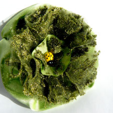 Bentita''Green flower'' Z&F0114