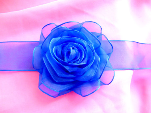 Bentita''Blue rose'' Z&F0115